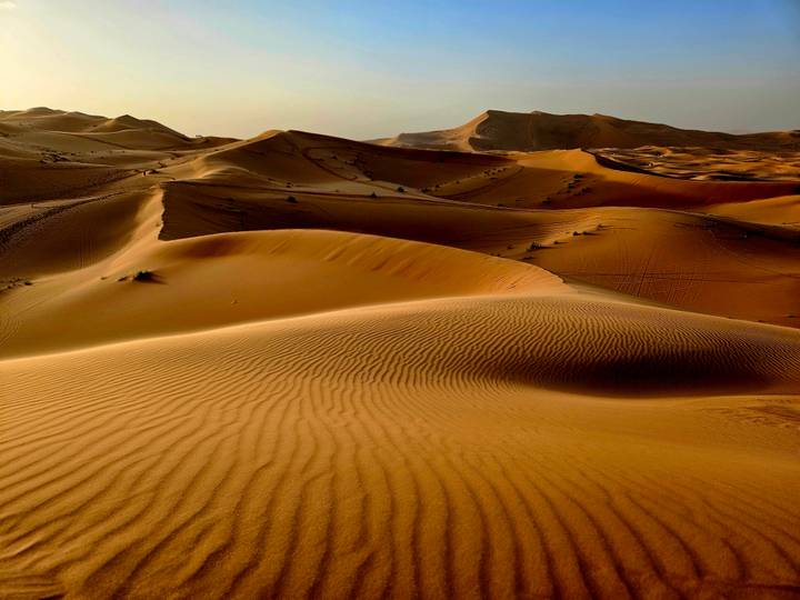Sweeping golden sand dunes of the Sahara with rippled patterns under low sunlight.