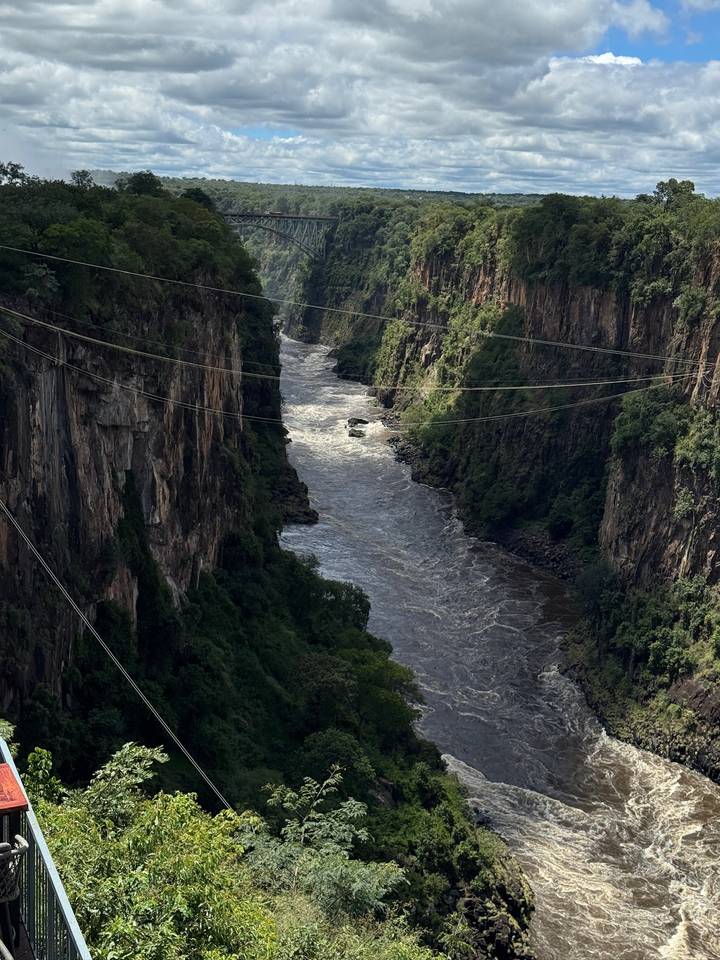 A fast-moving river winds through a steep, lush gorge with zip-line cables strung high above the water.
