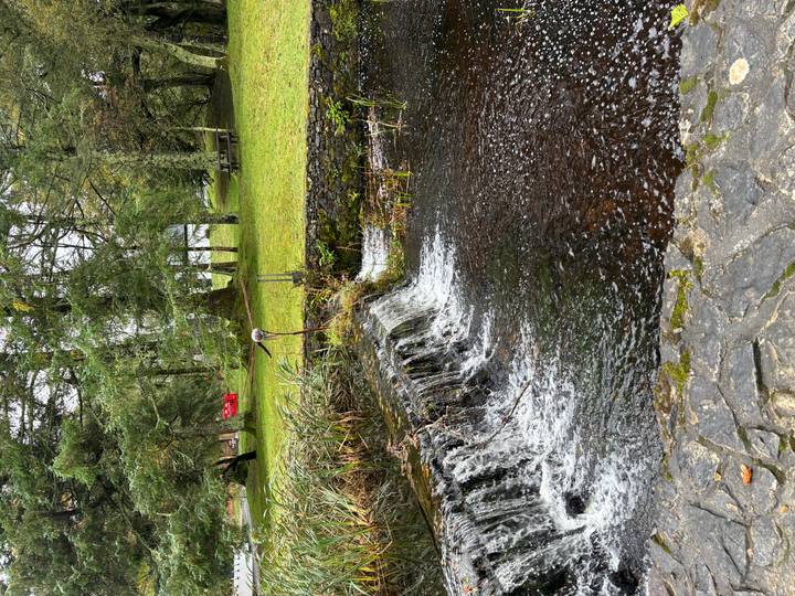 Small waterfall spilling over a stone ledge into a park pond surrounded by lush trees and grassy lawn