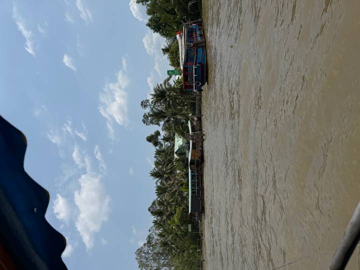 Wide brown river lined by palm trees and simple stilt houses under a bright blue sky in the Mekong Delta