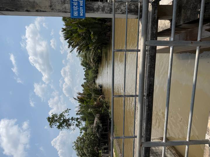 Narrow waterway lined with nipa palms viewed from a simple metal bridge in the Mekong Delta under a bright sky