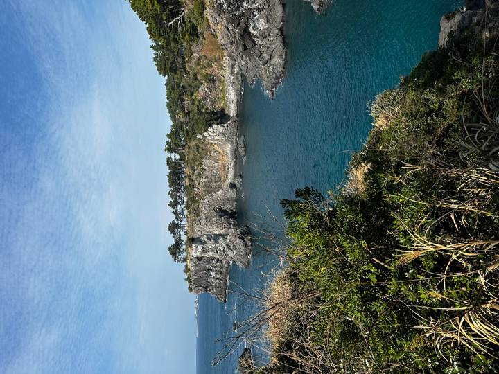 Rocky headland with pine trees rising above clear turquoise sea under a bright blue sky.