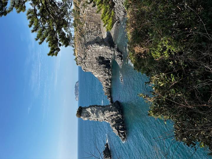 Jagged sea stack and rocky cove framed by evergreen trees with a distant island on a sunny day.