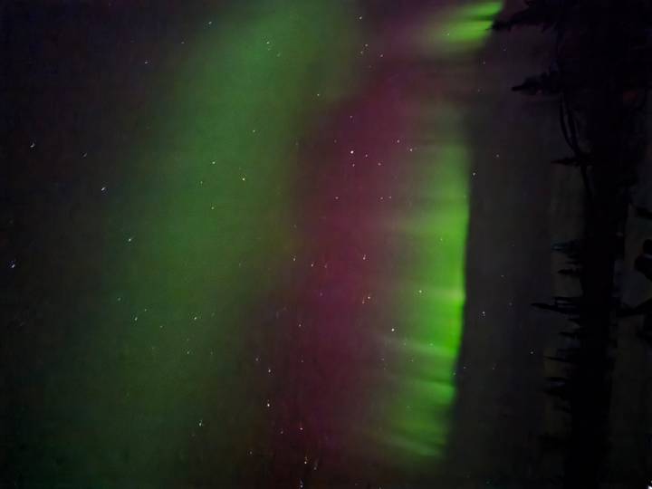 Vivid green and purple northern lights streak across a starry Arctic sky.