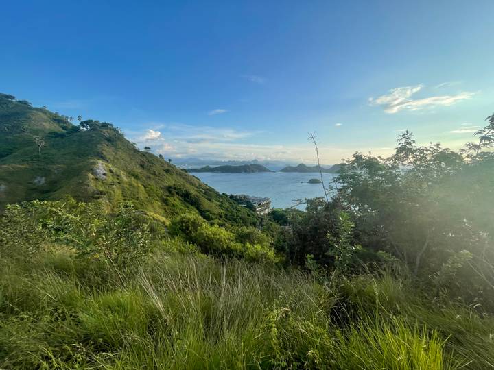 Verdant hills descend to a calm blue bay dotted with small islands beneath a clear sky.