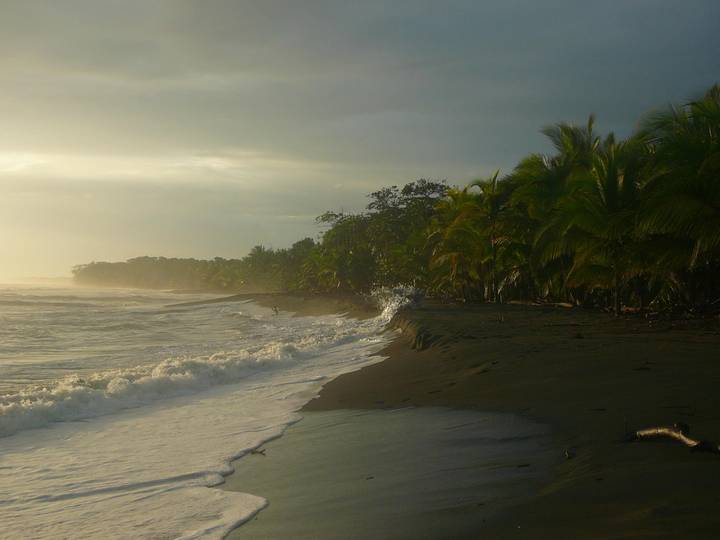 Moody scene of dark sandy beach with palm trees and crashing waves at dawn.