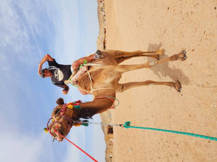 Traveler atop a decorated camel in the desert shielding eyes from the sun