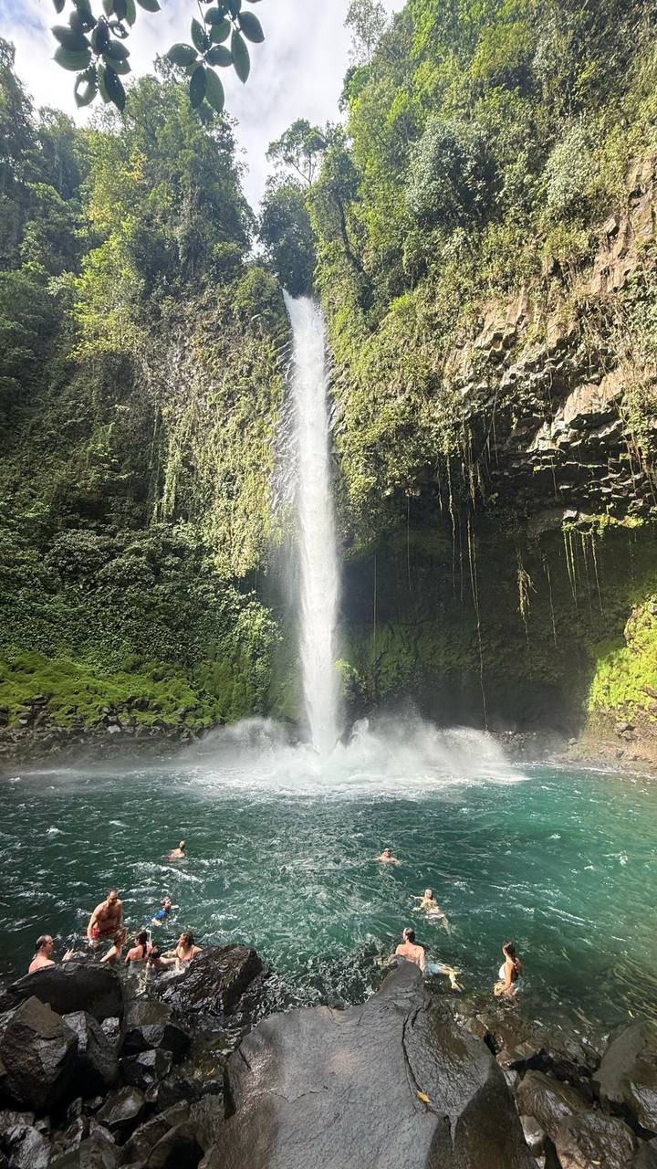 Tall waterfall plunging into a pool surrounded by lush green moss-covered cliffs
