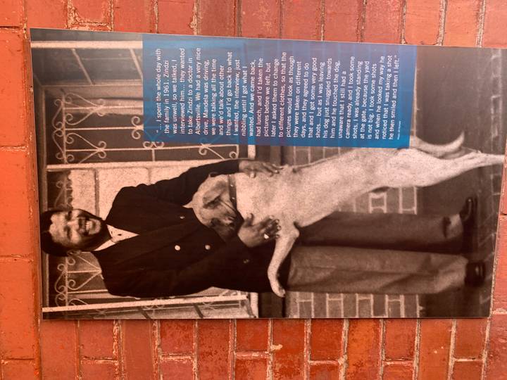 Historic photo display of Nelson Mandela hugging a dog with explanatory text on a brick wall