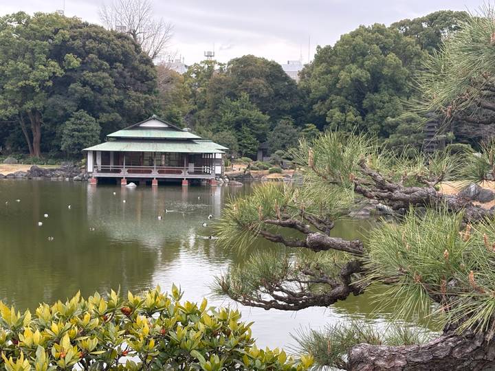 Traditional tea house on stilts sits over a reflective pond framed by manicured pines in a Japanese garden.