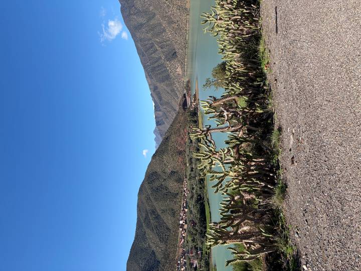 Cactus plants line a roadside overlooking a turquoise lake backed by steep green mountains.