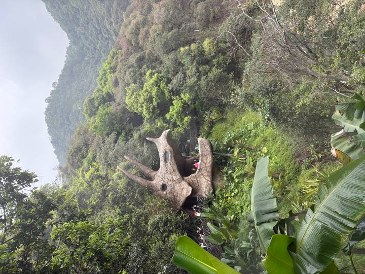 Rock formation shaped like a dinosaur skull nestled in lush green hillside