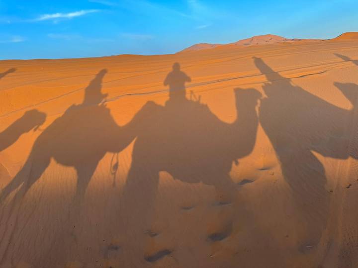 Long camel and rider shadows stretch over orange Sahara sand at sunset, creating dramatic silhouettes.
