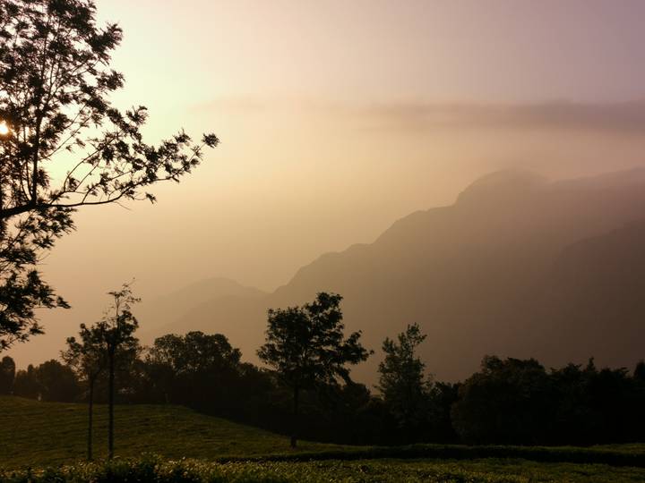 Hazy mountain ridges at dawn with silhouettes of trees against a soft orange sky.