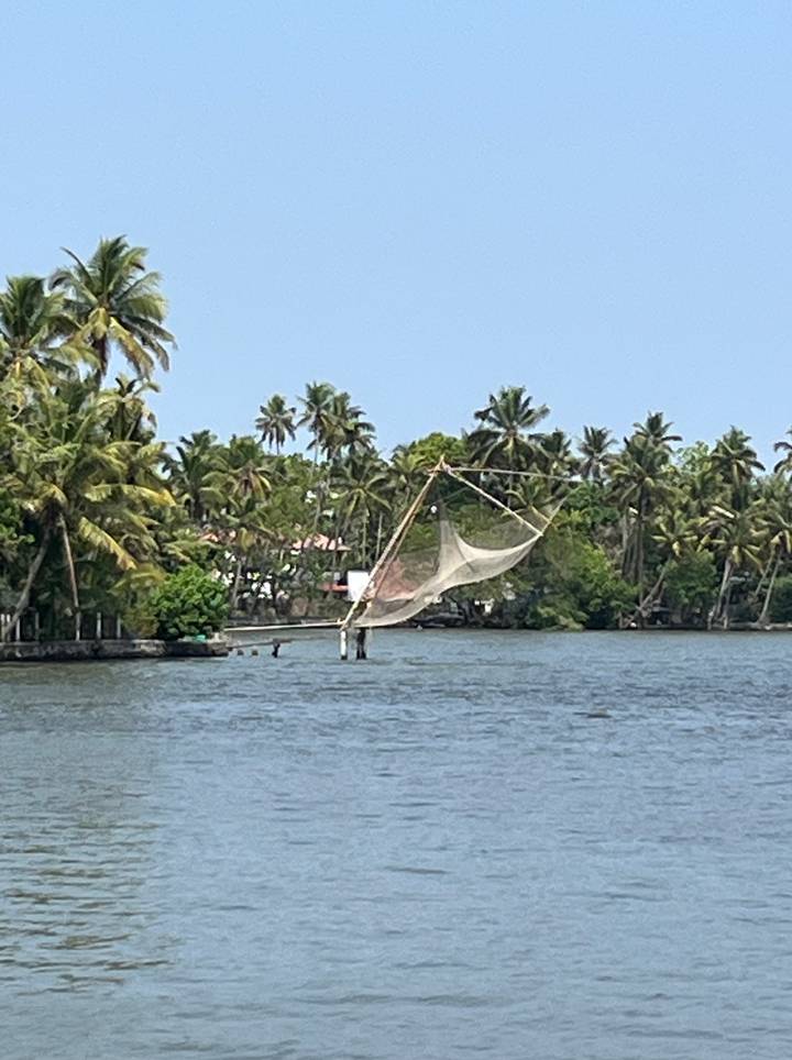 Traditional Chinese fishing net stretches over Kerala backwaters lined with tall palm trees.