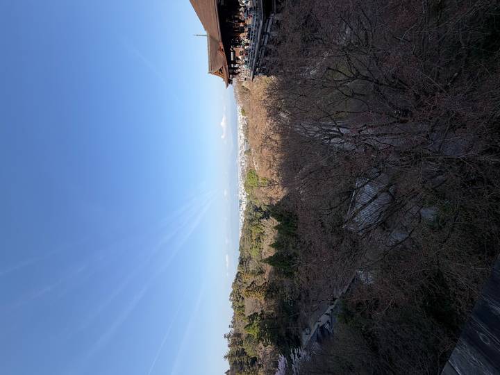 Wide panoramic view from a Kyoto hill temple looking over treetops toward the city on a clear day.