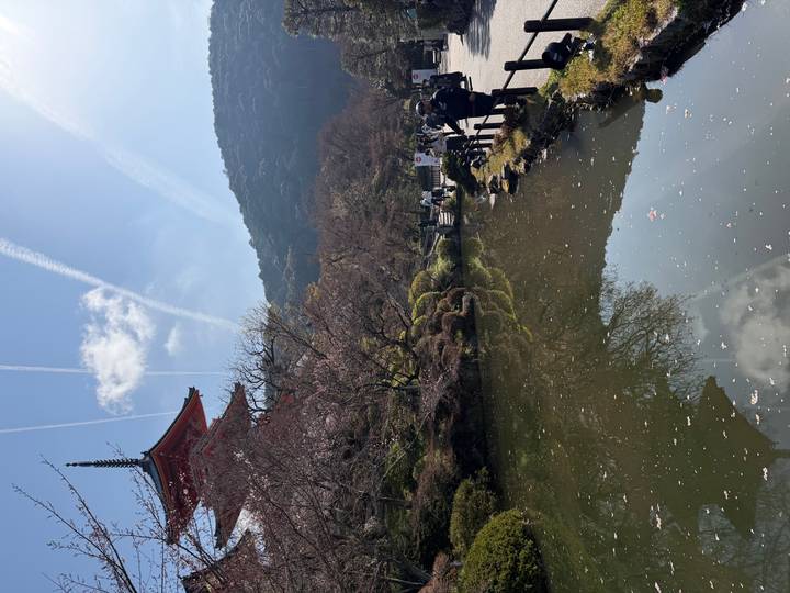 Red pagoda beside a reflective pond with blooming cherry trees under streaked blue skies.