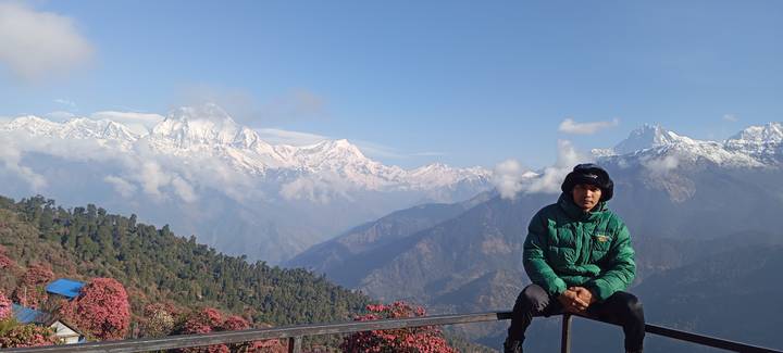 Person seated against a backdrop of rhododendrons and expansive Himalayan panorama.