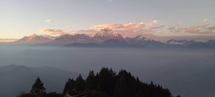 Morning light bathes a cloud-topped Himalayan range with forested foreground.