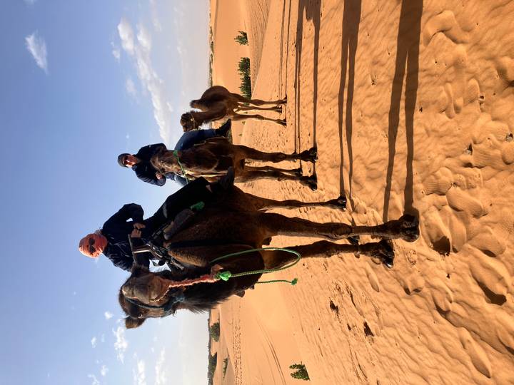 Two travellers riding camels led across orange Sahara dunes under a bright blue sky.