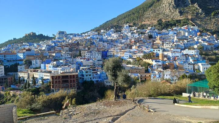 Panoramic hillside view of Chefchaouen’s blue-painted houses cascading beneath a forested peak.