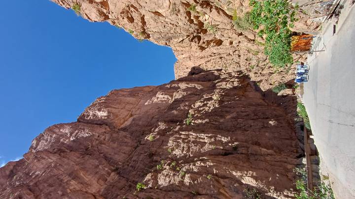 Narrow paved road winding through towering red rock canyon walls under a vivid blue sky.