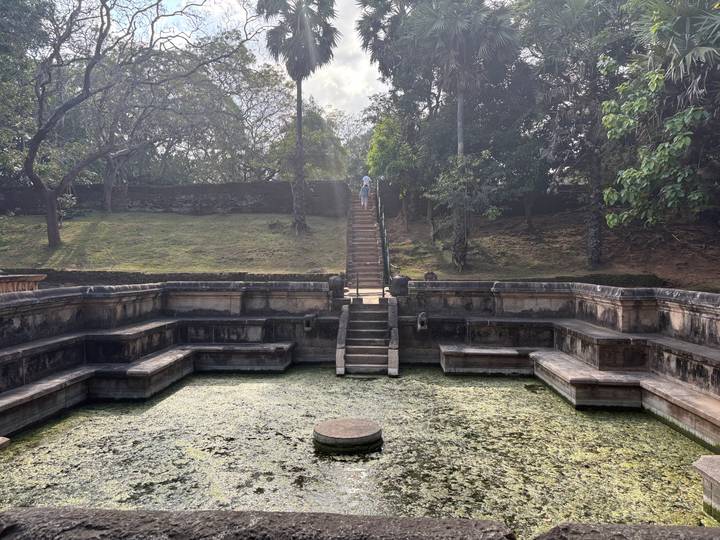 Ancient stepped bathing pool with mossy water and central plinth