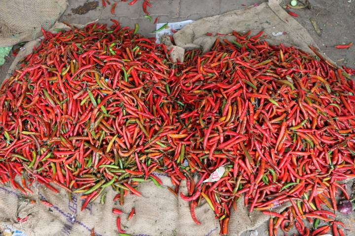 Vibrant heap of red and green chili peppers spread over burlap at a market stall.