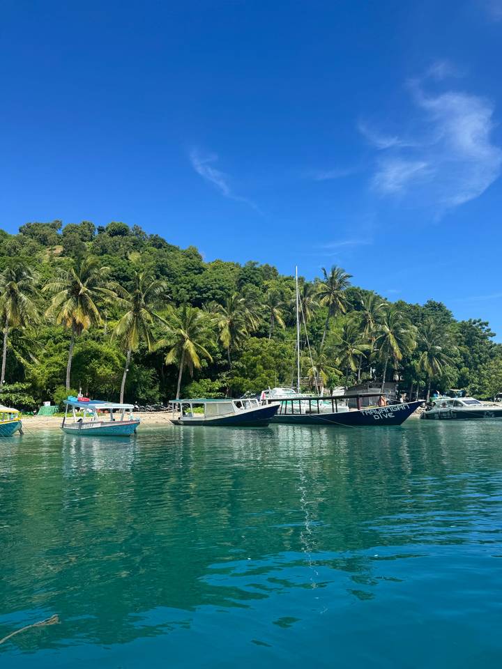 Several dive boats anchored near a palm-lined tropical shore with calm reflective water.