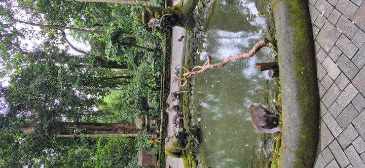 Quiet pond surrounded by moss-covered monkey statues and forest in Ubud Monkey Forest.