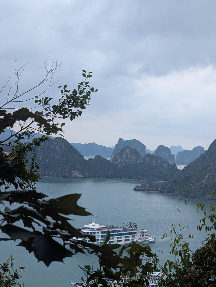 Panoramic vista of jagged limestone islands and serene emerald waters seen through foliage in Halong Bay.