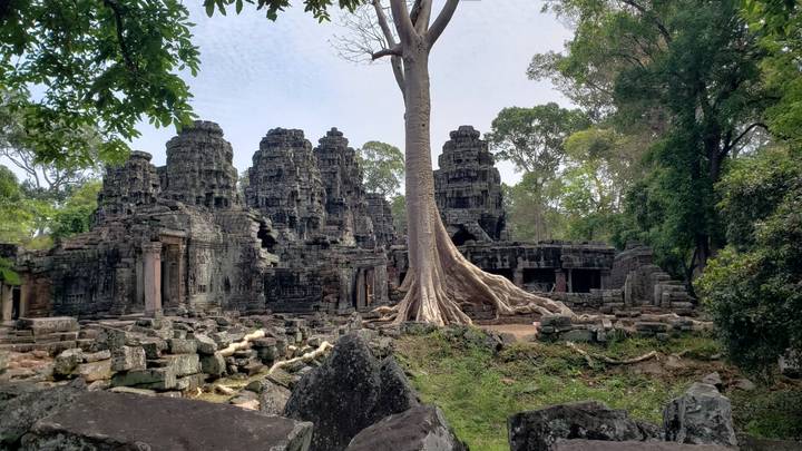 Stone temple ruins entwined by massive tree roots in a lush jungle setting
