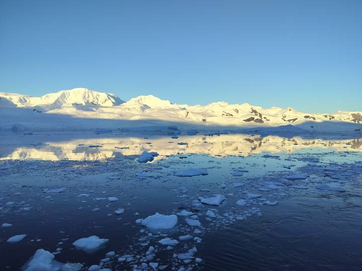 Mirror-like icy bay with scattered floes reflecting white Antarctic mountains at dawn.