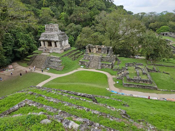 Aerial perspective of multiple Maya structures amid lush jungle at Palenque archeological site.