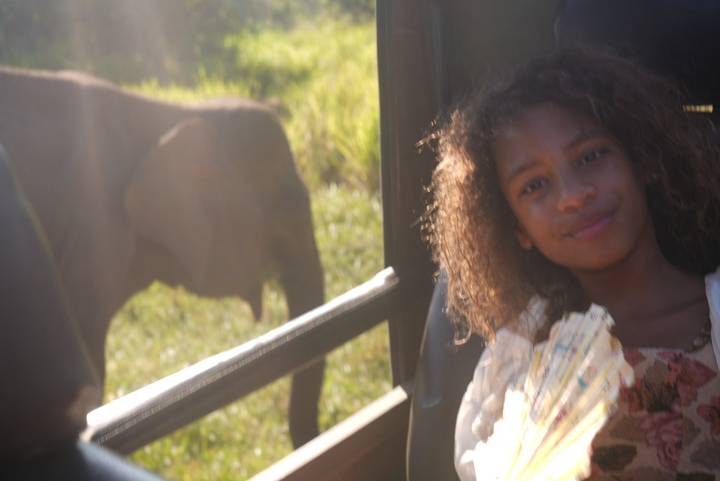 A child inside a safari vehicle looks toward the camera while a blurred elephant grazes outside in bright backlight.