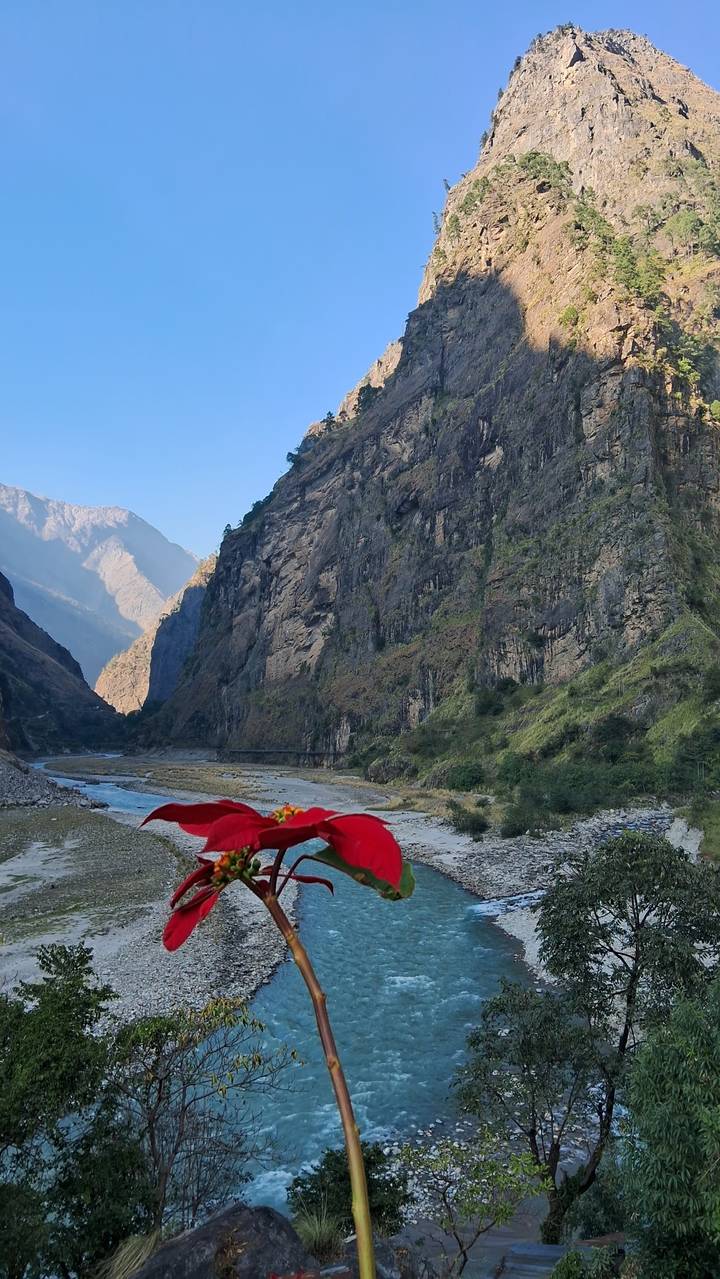 Steep river gorge with towering rock walls and distant snowy peaks under clear skies.