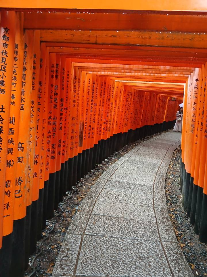 Endless corridor of vermilion torii gates at Fushimi Inari Shrine curving into the distance with a lone visitor.