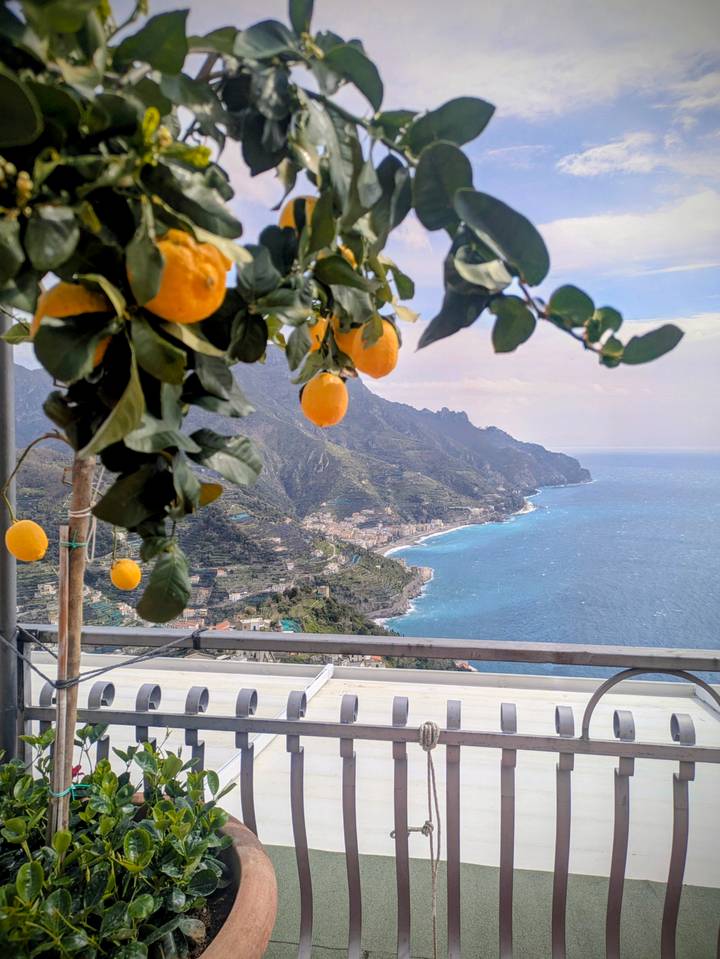 Ripe lemons hang in the foreground overlooking dramatic cliffs and turquoise waters of the Amalfi Coast.