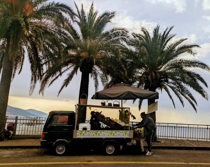 Street vendor with a small truck sells produce beneath towering palm trees by the seaside promenade.