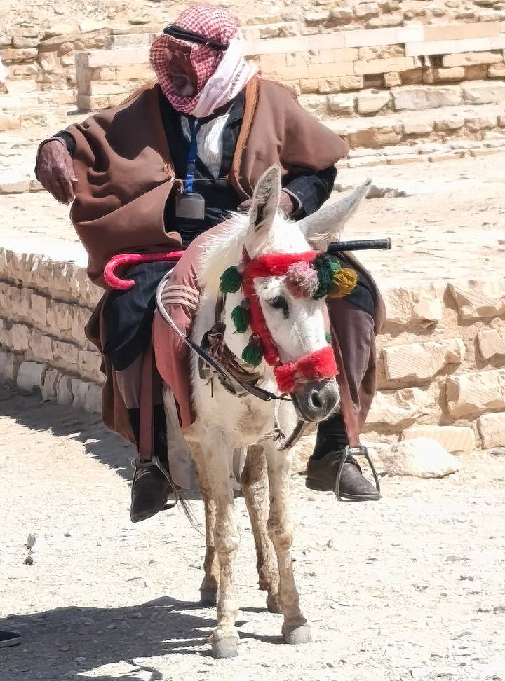 Decorated donkey with colorful tassels standing beside ancient stone walls in the sun