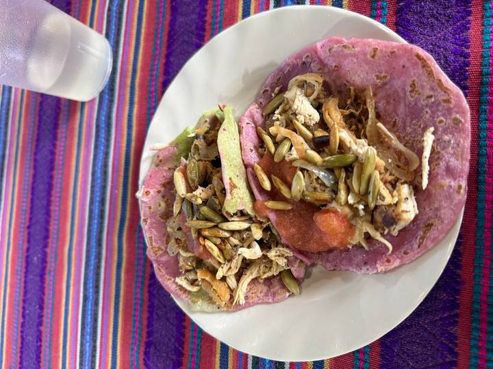 Two vibrant purple corn tortillas topped with shredded chicken, seeds and salsa on a white plate.