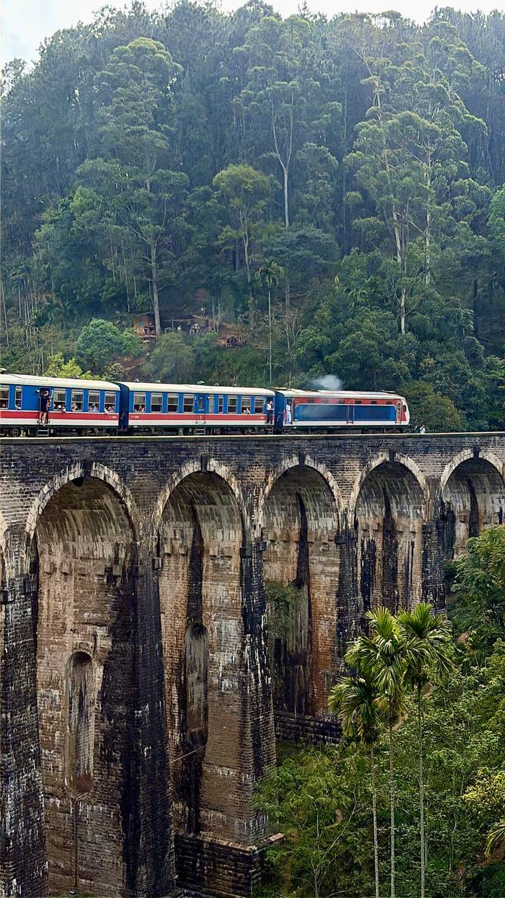 Blue and red passenger train crossing a historic multi-arched stone bridge surrounded by lush forest.