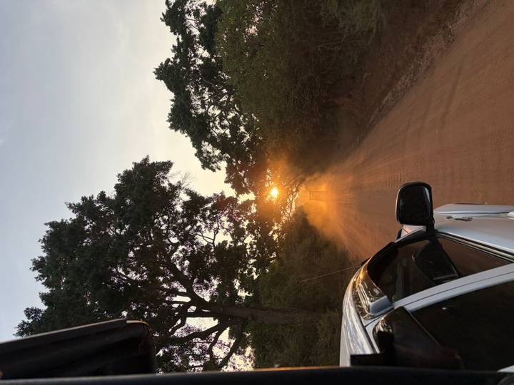 Safari jeep driving down a dusty red road at sunset with sunbeams shining through roadside trees.