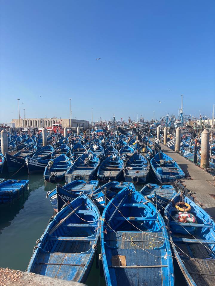 Bustling harbor filled with rows of traditional blue fishing boats under a clear sky.