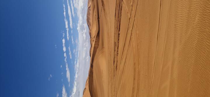 Endless golden sand dunes under deep blue sky with faint vehicle tracks.