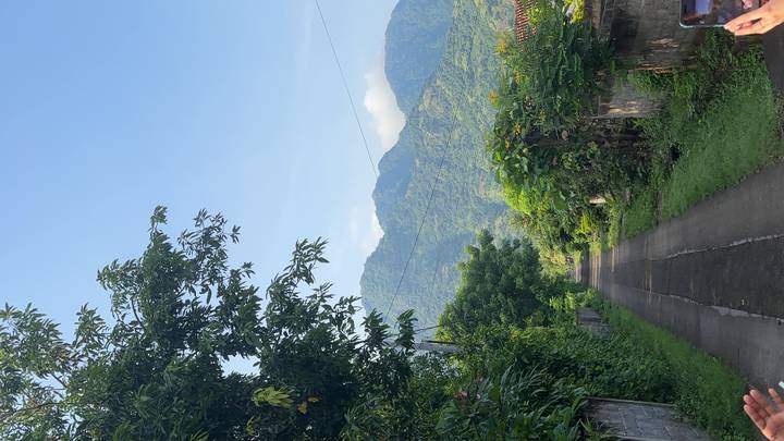 Quiet rural lane lined with tropical vegetation leads toward forested mountains under clear morning sky.