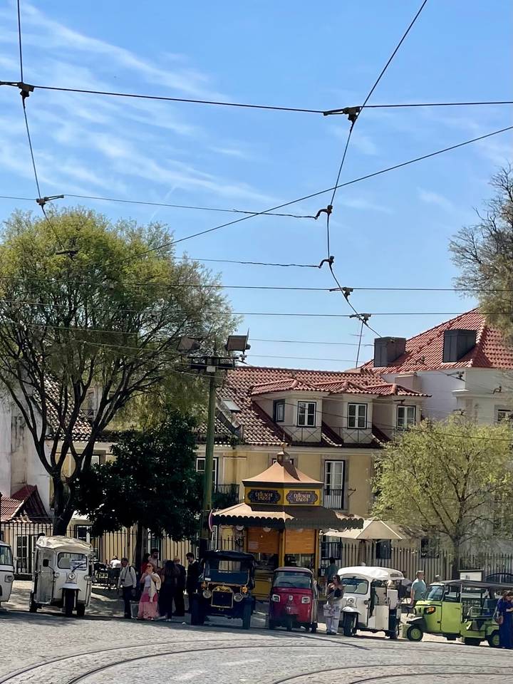 Street view of rooftops, tram wires and leafy trees on a bright day in Portugal.