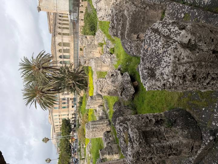 Ruined stone columns and blocks covered in moss sit in a grassy archaeological site with palm trees and classical buildings behind.