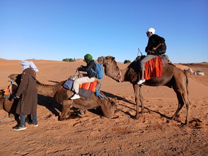 Travelers mounted on camels prepare to trek across red Sahara dunes