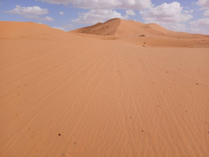 Close-up view of patterned ripples on orange sand dunes in the Sahara